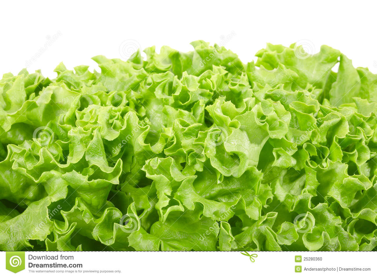 Salad Border Isolated On White Clipping Path Included