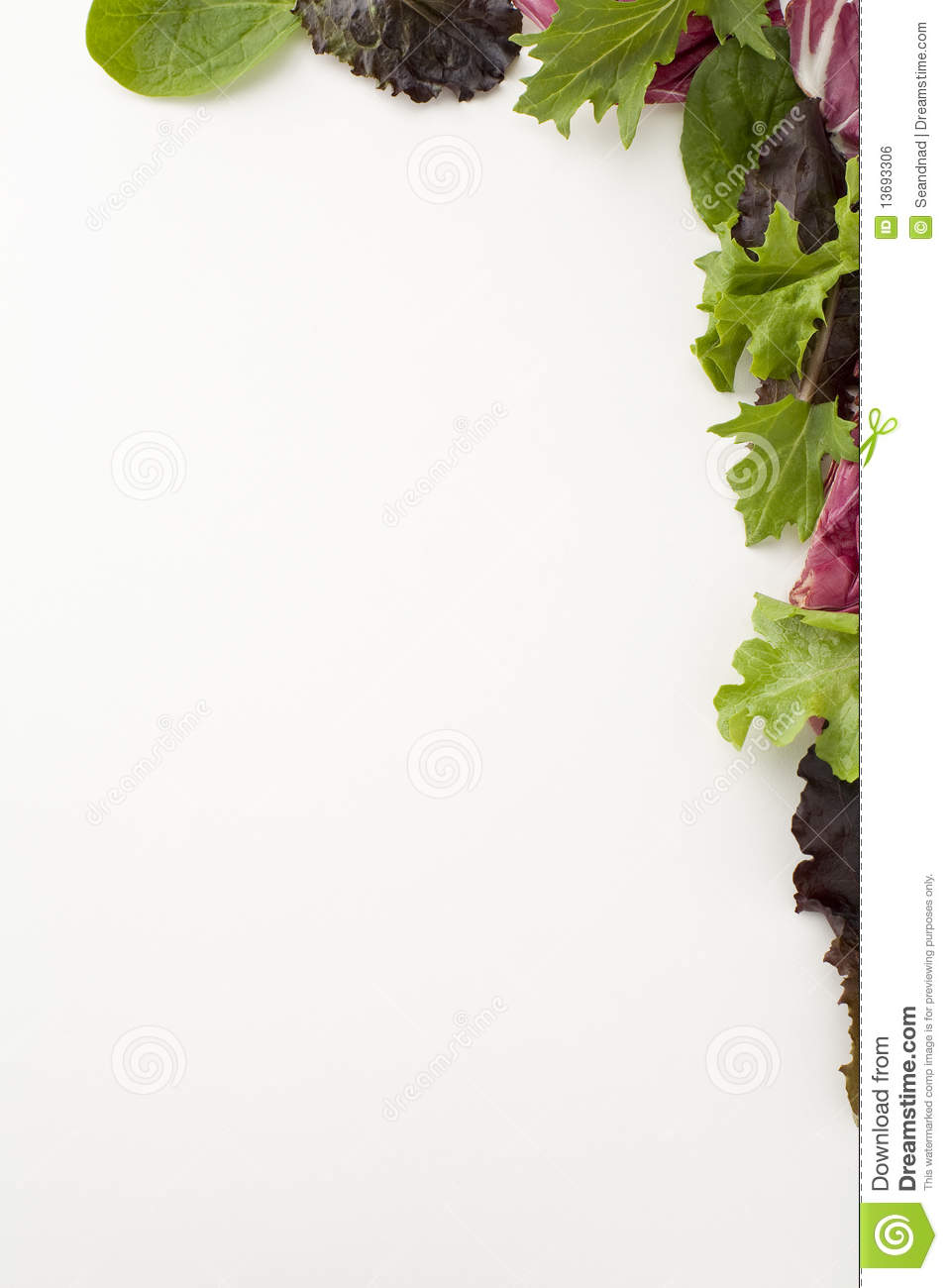 Salad Border Royalty Free Stock Image   Image  13693306