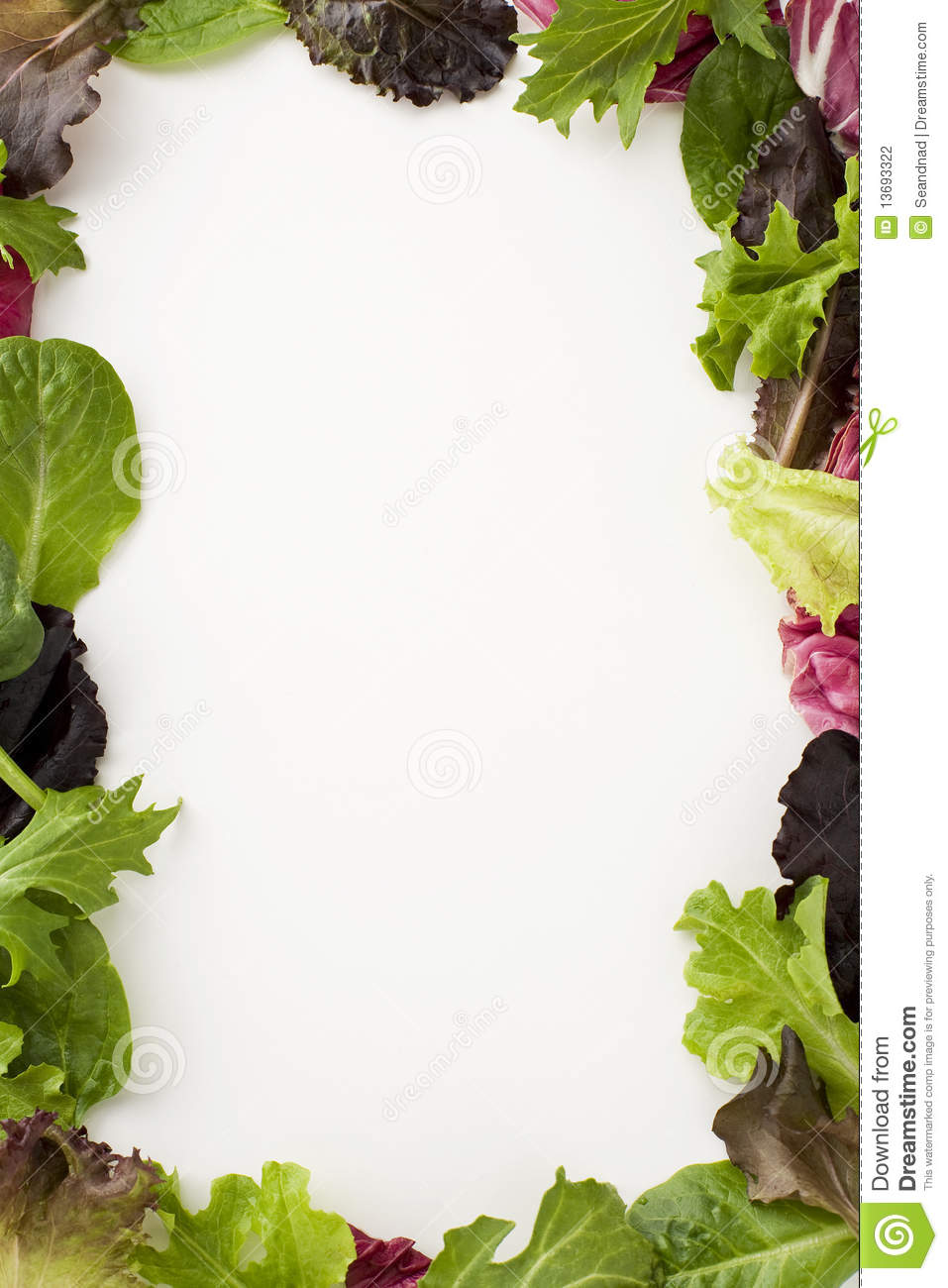 Salad Border Stock Photography   Image  13693322