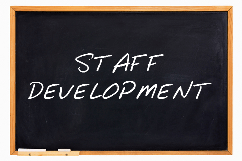 Staff Development   Mja   Fundraising Consultants   Executive Search
