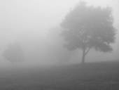 Stock Photo Of Foggy Day Bw K0203552   Search Stock Photography Print    