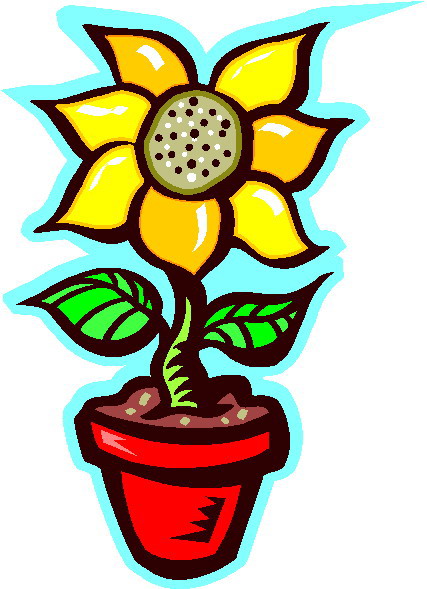 Sunflower Clipart Pictures