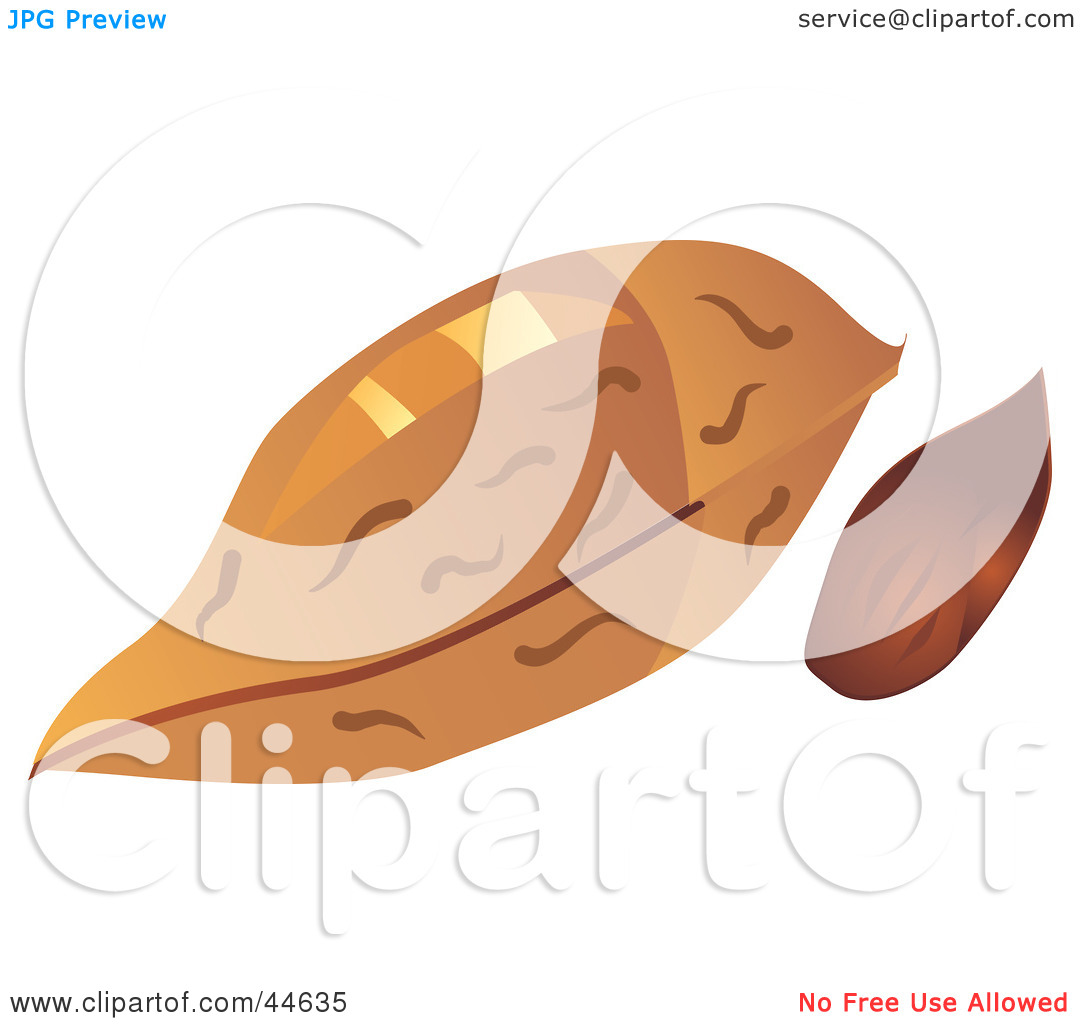 Clipart Illustration Of An Almond And Shell By Milsiart  44635