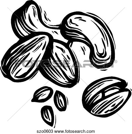 Illustration Of Mixed Nuts In Black And White Szo0603   Search Clipart