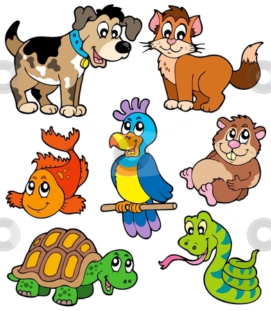 Pet Cartoons Collection Stock Vector Clipart Pet Cartoons Collection