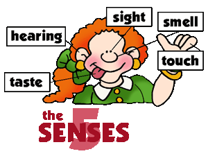 The 5 Senses   Clipart For Kids And Teachers