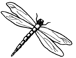 Dragonfly Outline Clipart   Clipart Panda   Free Clipart Images