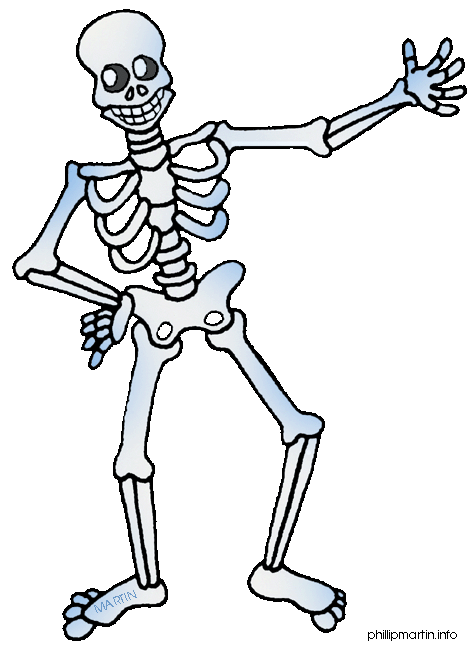 Mrs V S Wonderful Wiki   Skeleton Clip Art 4 Gif   Detail