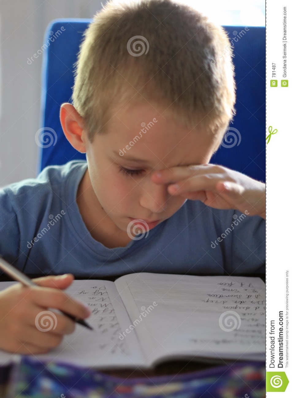 Boy Writing Homework Royalty Free Stock Photography   Image  781487