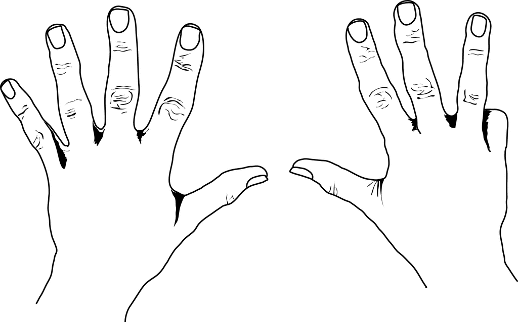 European Style Counting Hands   Clipart Etc