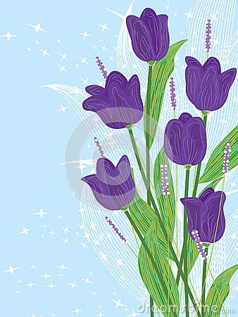 Illustration Of Purple Tulip Flowers On Blue And Starry Backgrounds