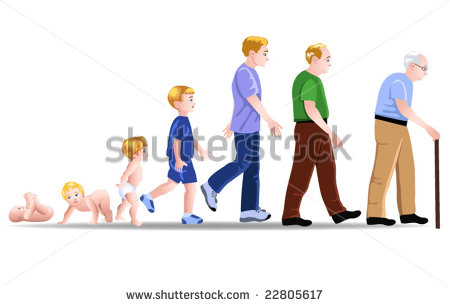 Life Stages Stock Photos Images   Pictures   Shutterstock