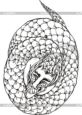 Oriental Legless Dragon  Black And White Vector Illustration