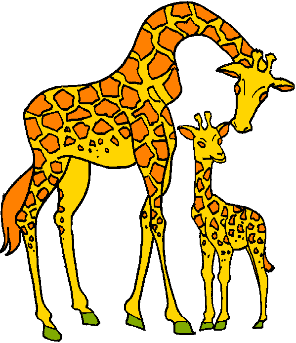 There Is 50 Giraffe Free   Free Cliparts All Used For Free