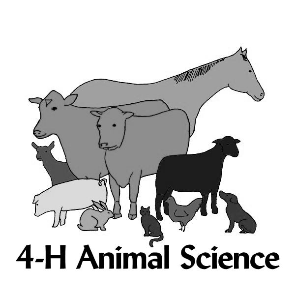 Animal Science Clipart   4 H Stuff   Pinterest