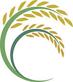Rice Plant Clip Art Illustrations  240 Rice Plant Clipart Eps Vector