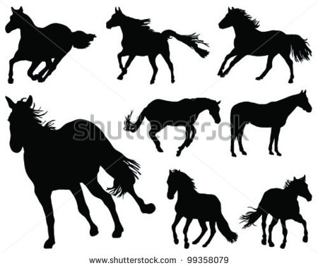 Vector Download  187 Horses Silhouette 3 Clipart