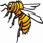 All About Wasp   Animals Coloring Page
