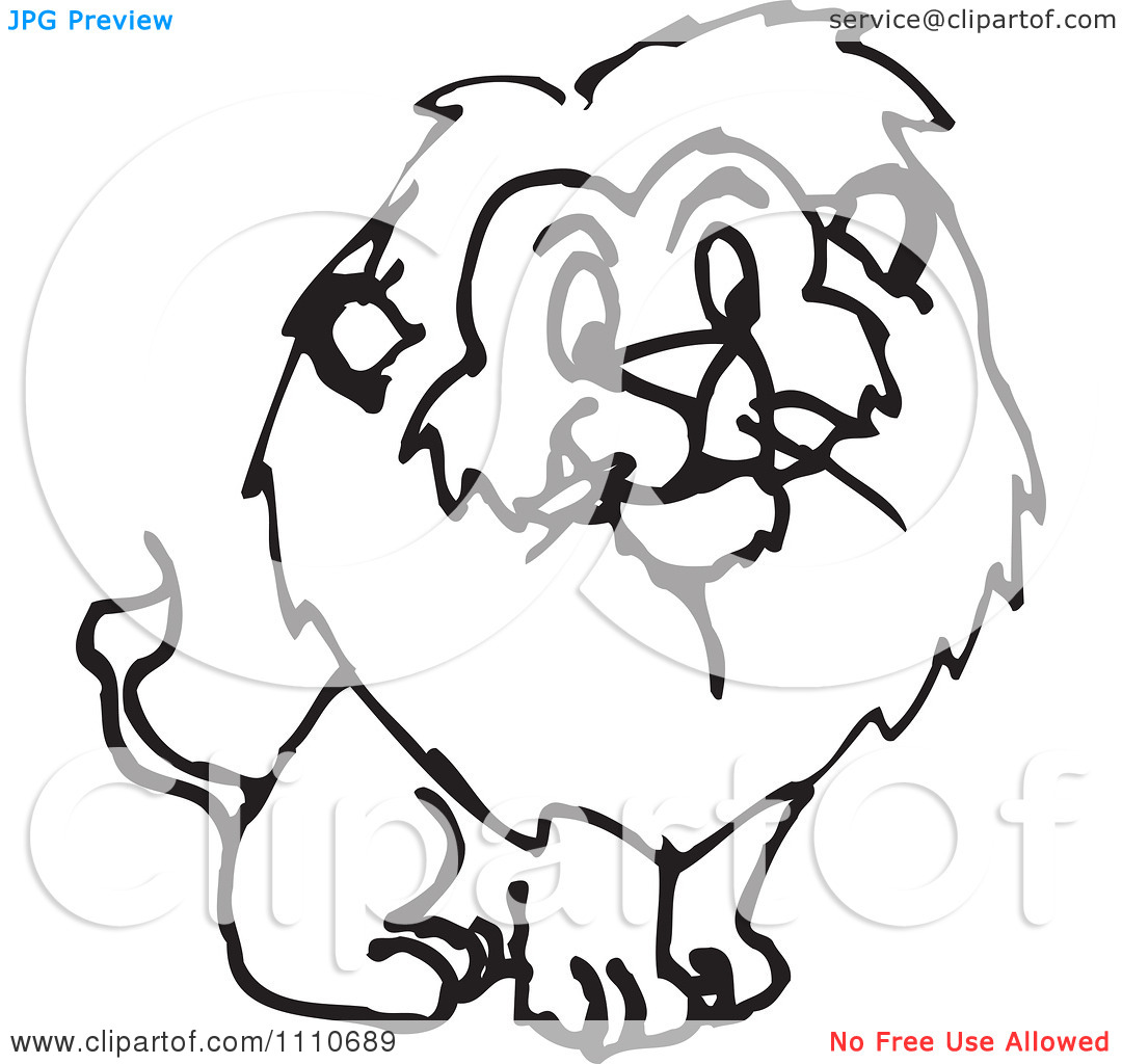 Clipart Black And White Male Lion   Royalty Free Vector Illustration