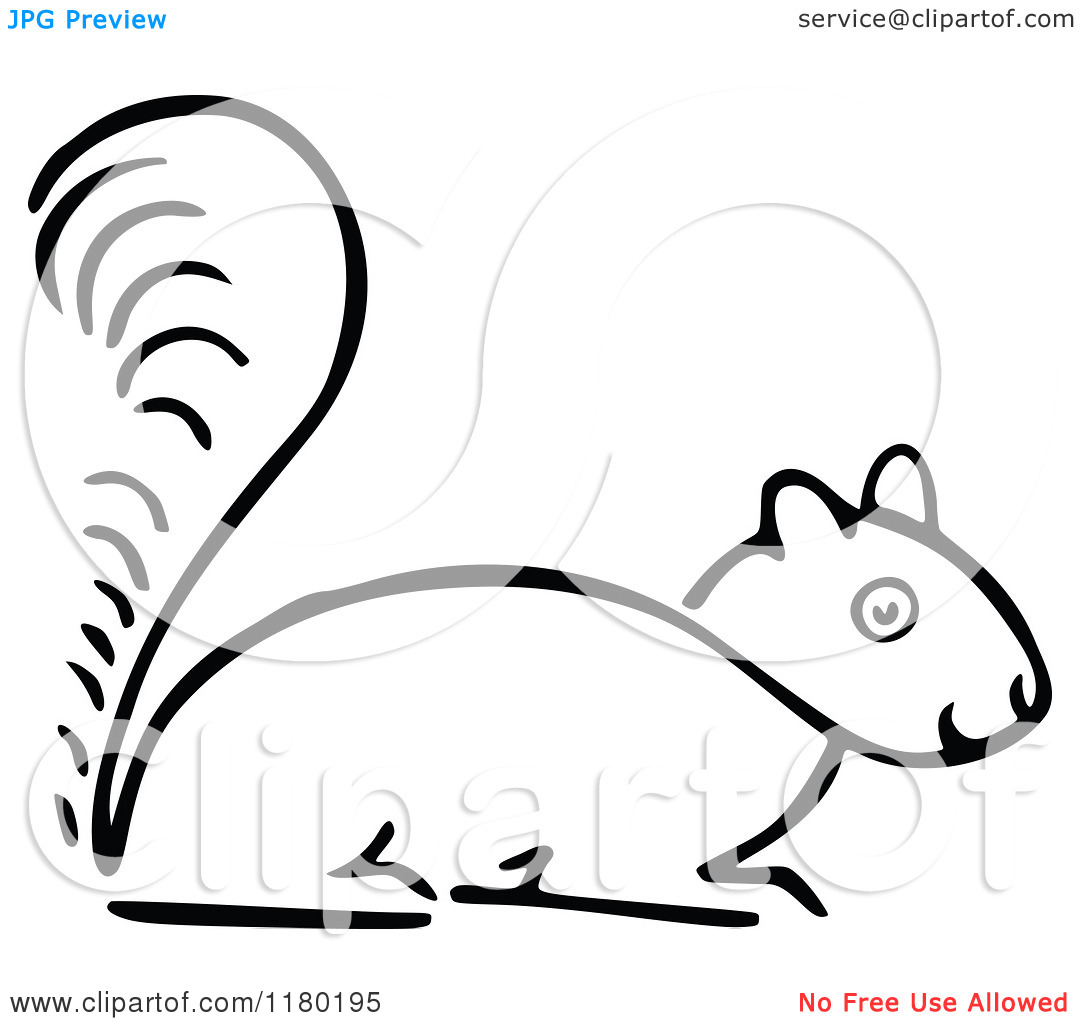 Clipart Of A Black And White Sketched Squirrel   Royalty Free