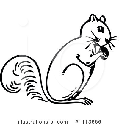 Squirrel Clip Art Black And White Images   Pictures   Becuo