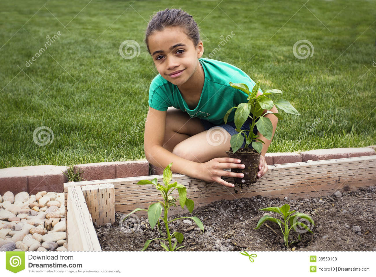 African American Girl Planting A New Plant Royalty Free Stock Photos    