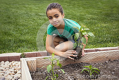 African American Girl Planting A New Plant Royalty Free Stock Photos    