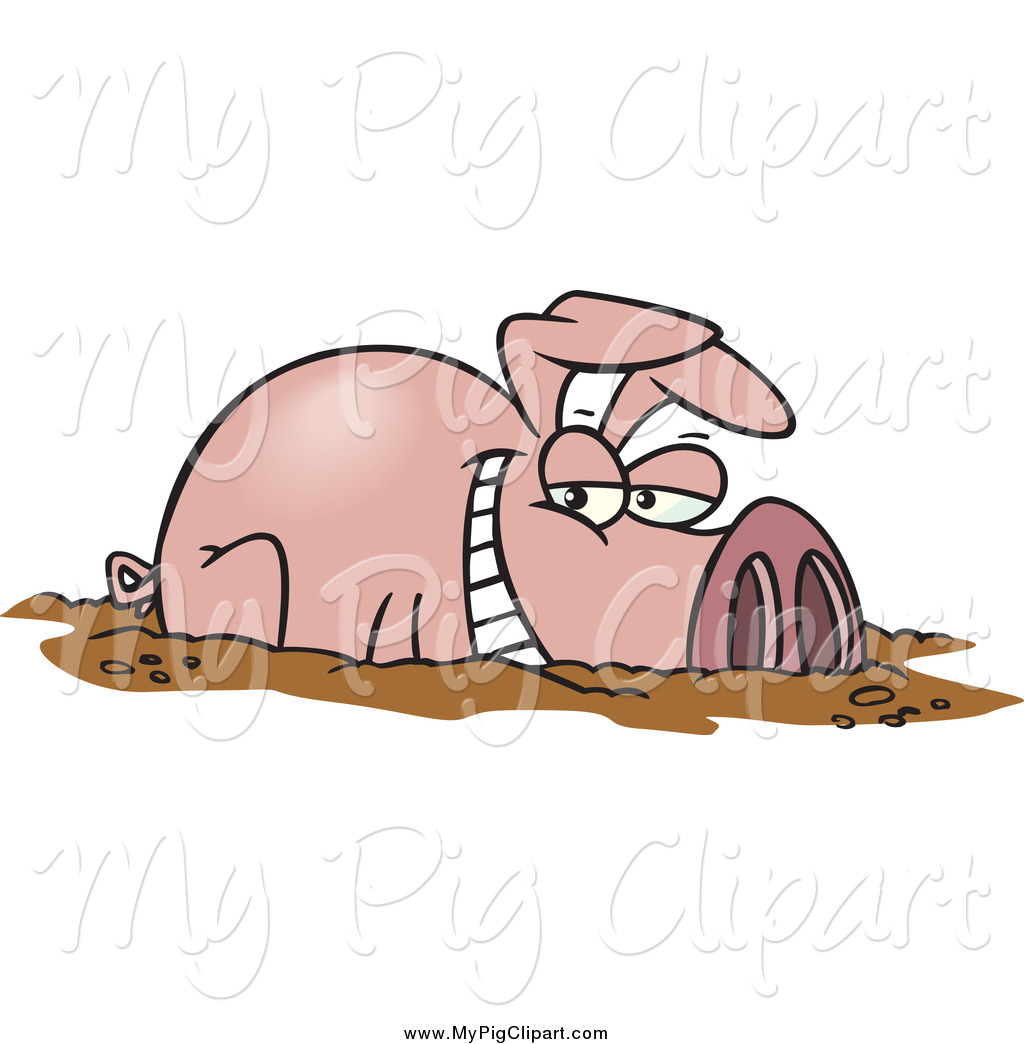 Pig In A Mud Puddle Cute Happy Pig In Mud Cute Piglet Bathing In Mud