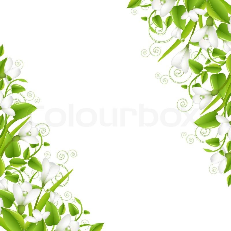 Stock Vector Of  Border With Snowdrops