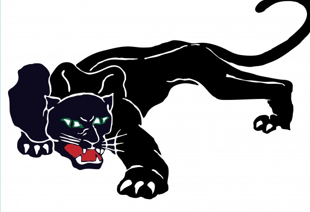 Black Panther Clipart Free Stock Photo   Public Domain Pictures