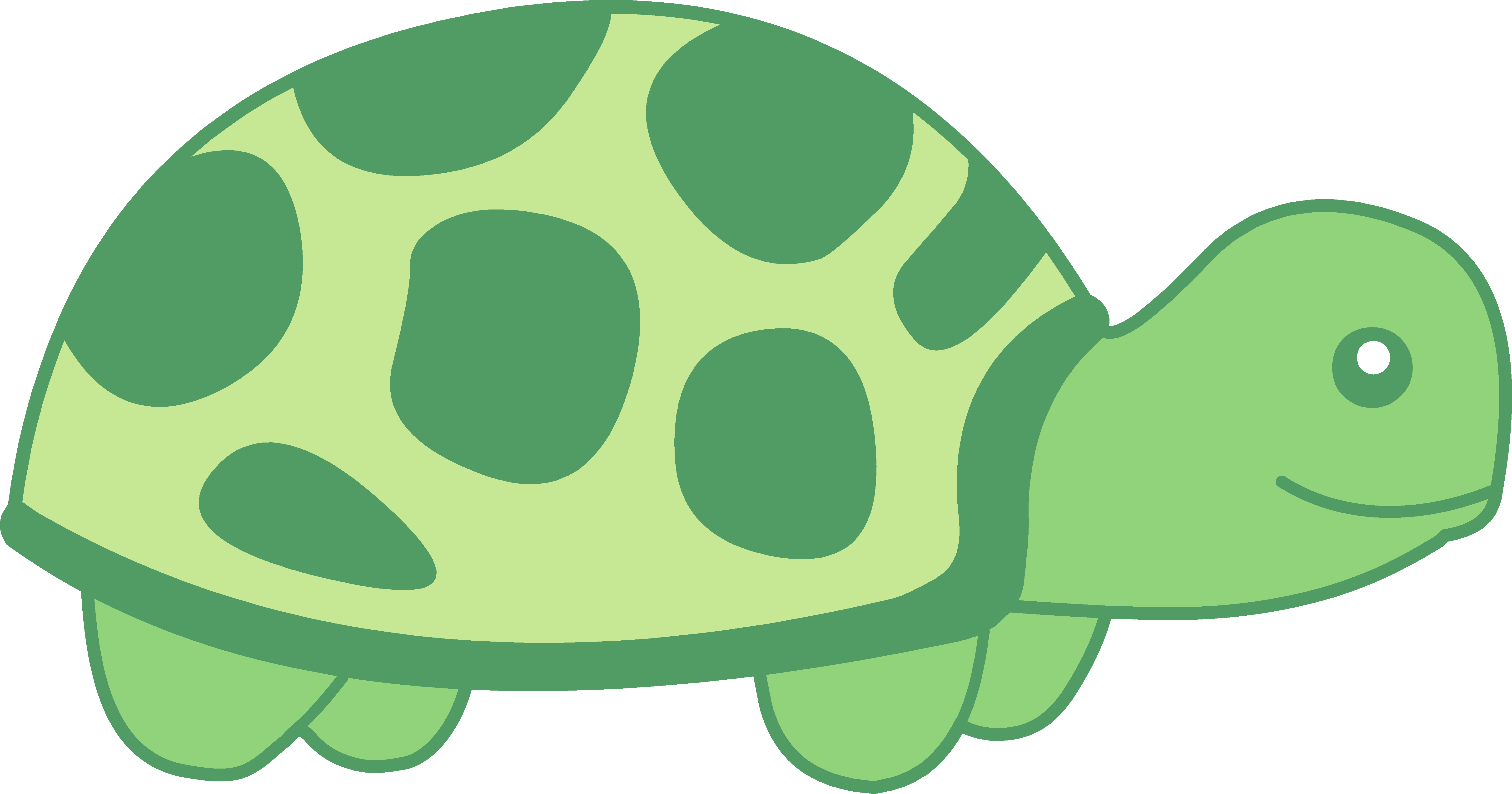Turtle Clip Art Black And White   Clipart Panda   Free Clipart Images