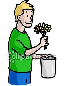 Man Putting Flowers In A Vase   Royalty Free Clipart Picture