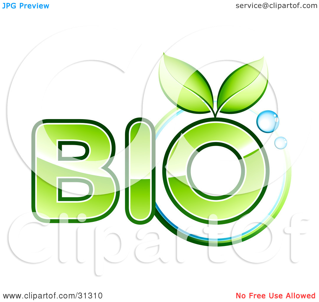 Pile Of Leaves Clip Art Clipart Illustration Of Two Green Leaves