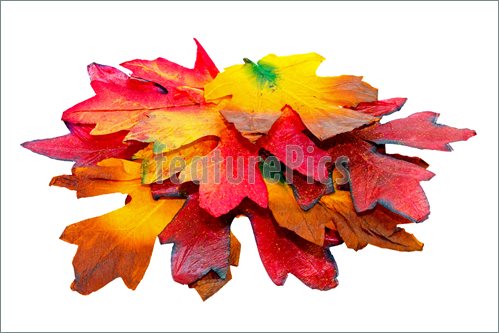 Pile Of Leaves Clip Art   Hd