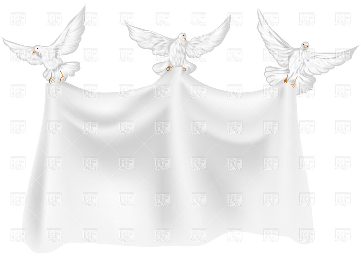 Blank Banner With Three Doves 27906 Download Royalty Free Vector