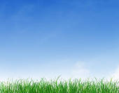 Clip Art Of Green Grass Under Blue Clear Sky K4040122   Search Clipart