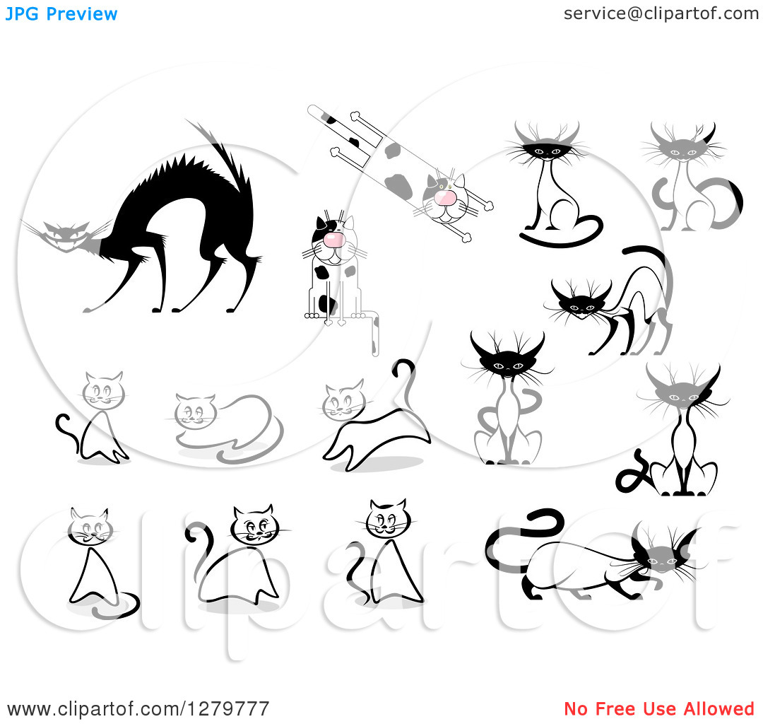 Clipart Of Sketched Siamese Spotted And Scared Cats   Royalty Free