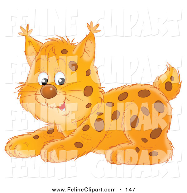 Feline Clip Art Of A Playful Spotted Bobcat Crouching By Alex Bannykh