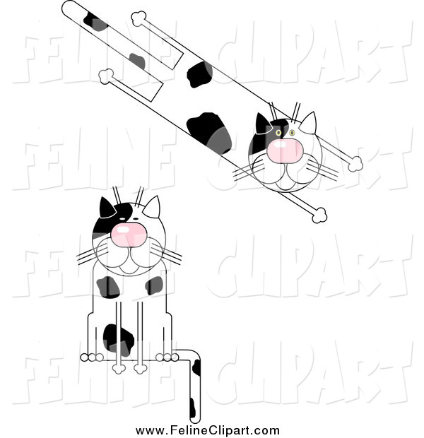 Feline Clip Art Of Black And White Spotted Cats
