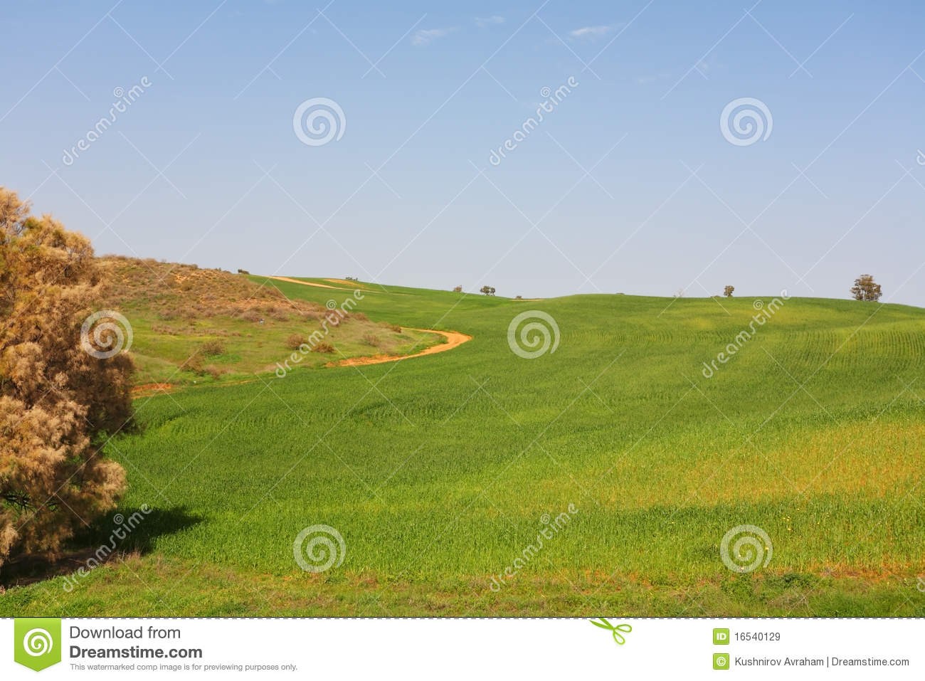 Green Fields And Clear Skies Royalty Free Stock Images   Image
