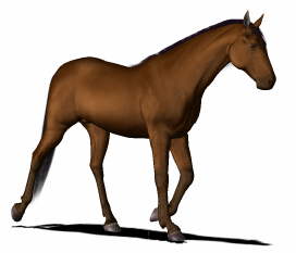 Horse Animations   Horses 2   Horses 3   Horses 4   Unicorn Pegasus