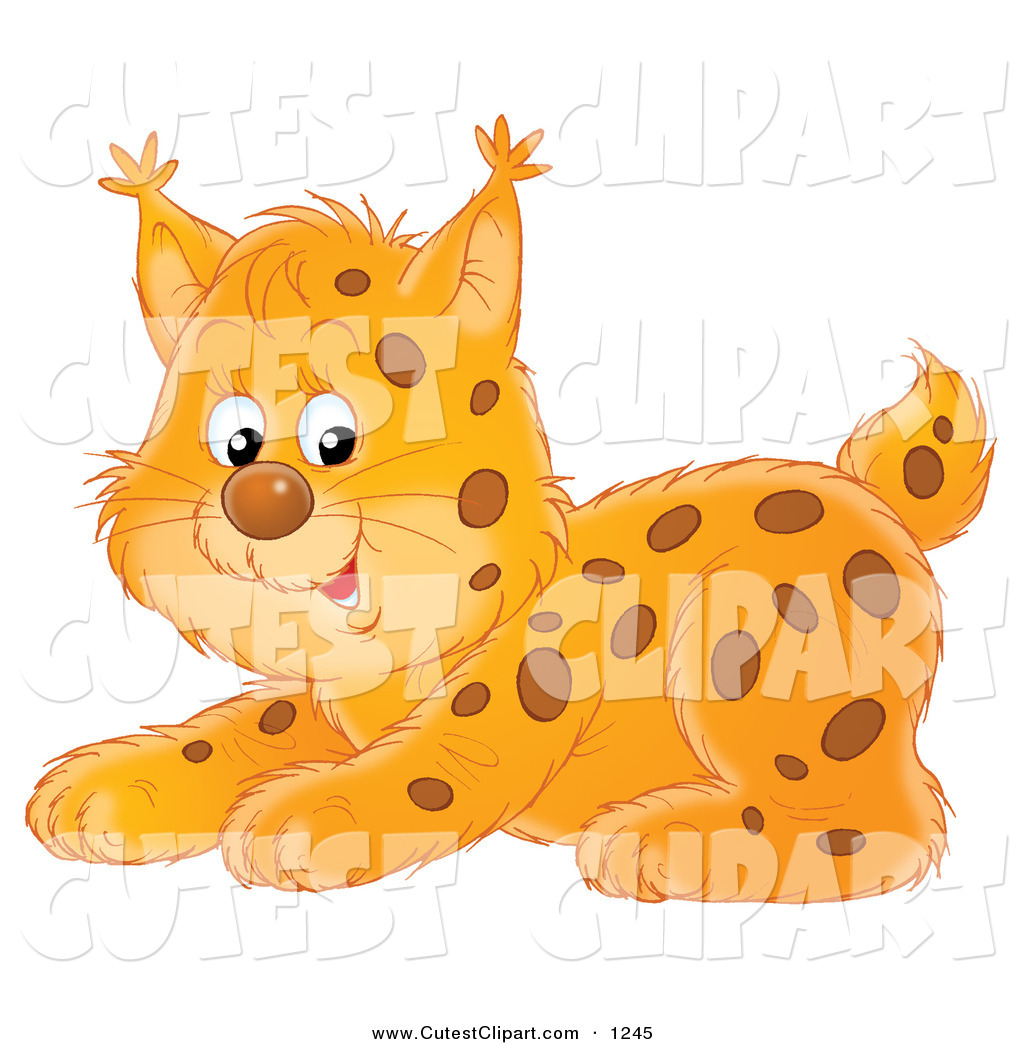 Larger Preview  Clip Art Of A Playful Spotted Bobcat Kitten Crouching