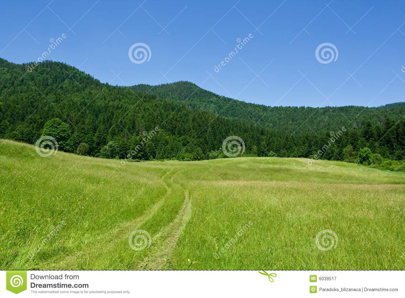 Mountain Meadow Scene During Summer Day Royalty Free Stock Photography