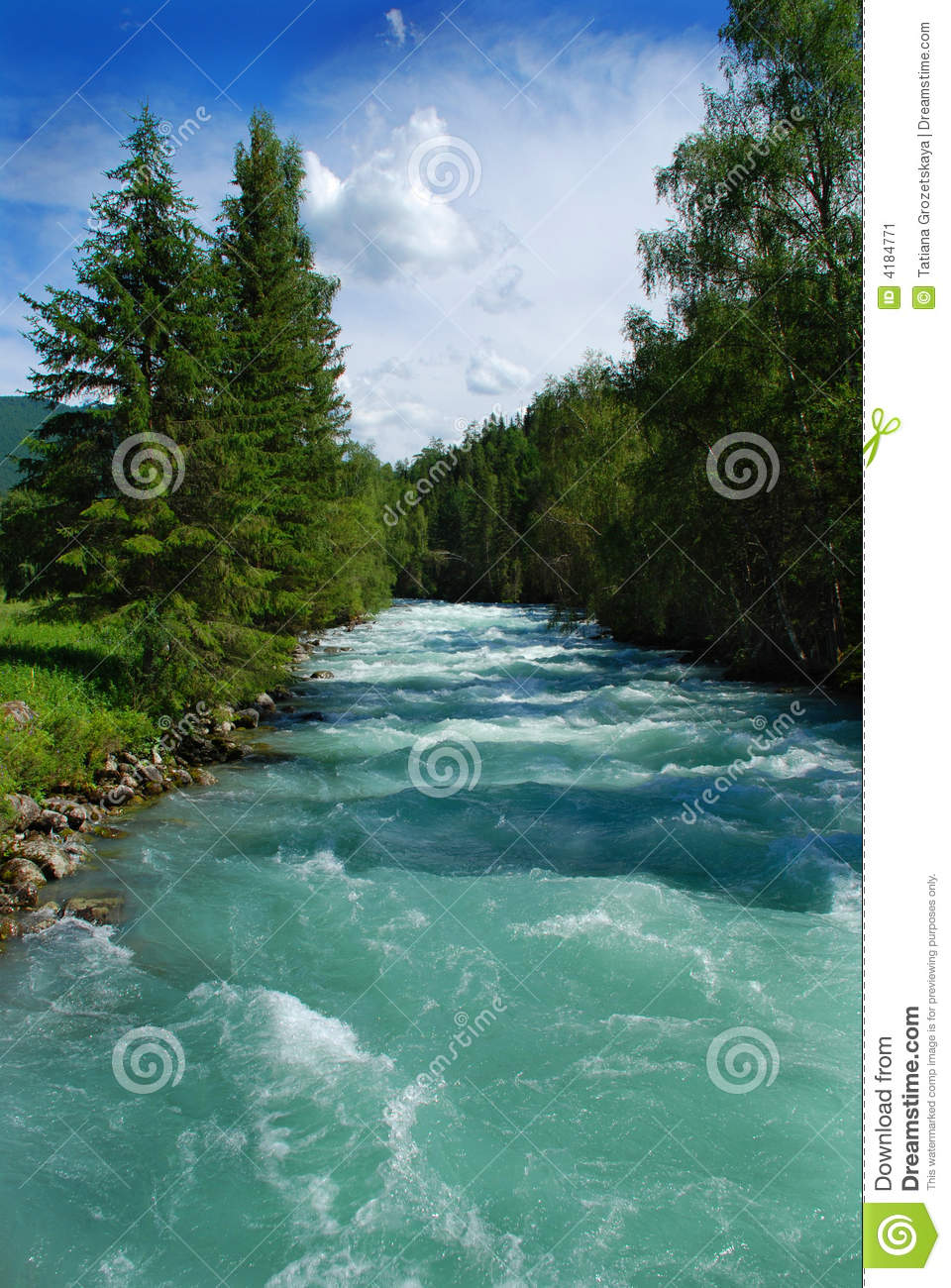 Mountain River Kucherla Altai Russia Wild Landscape Summer Scene
