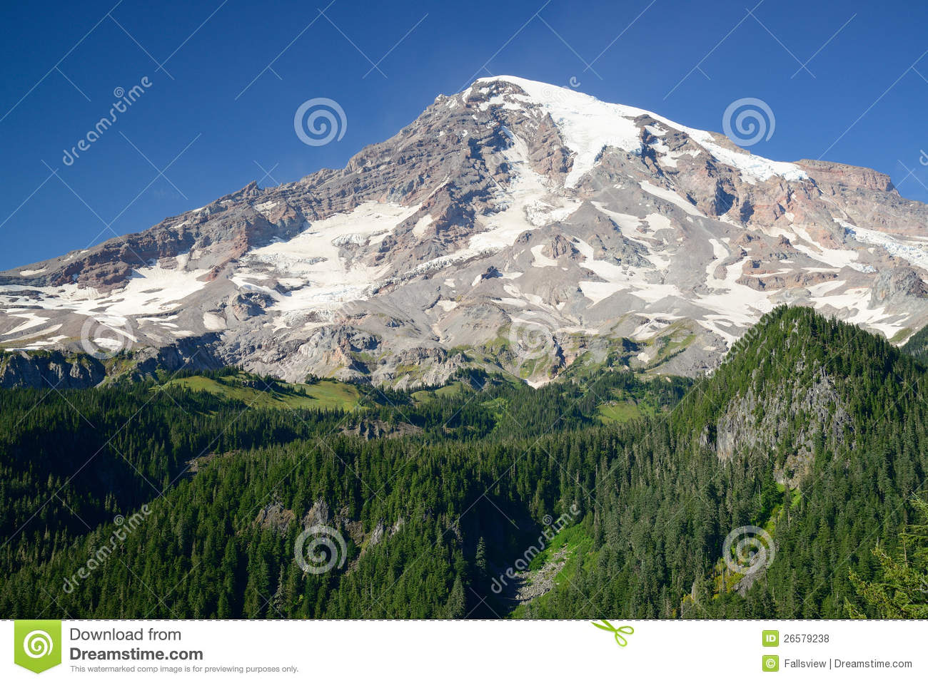 Summer Scene Of Mountain Rainier National Park Washington Usa 
