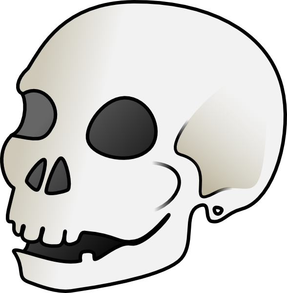 Cartoon Skull Clip Art At Clker Com   Vector Clip Art Online Royalty