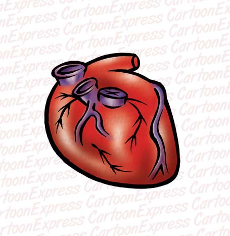 Cartoon Vector Illustration Of A Heart