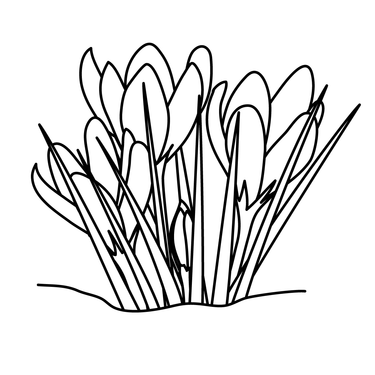 Flower Black And White Clipart   Clipart Best