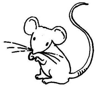 Mice Clipart   Cliparts Co