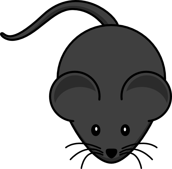 Mouse Clip Art At Clker Com   Vector Clip Art Online Royalty Free    